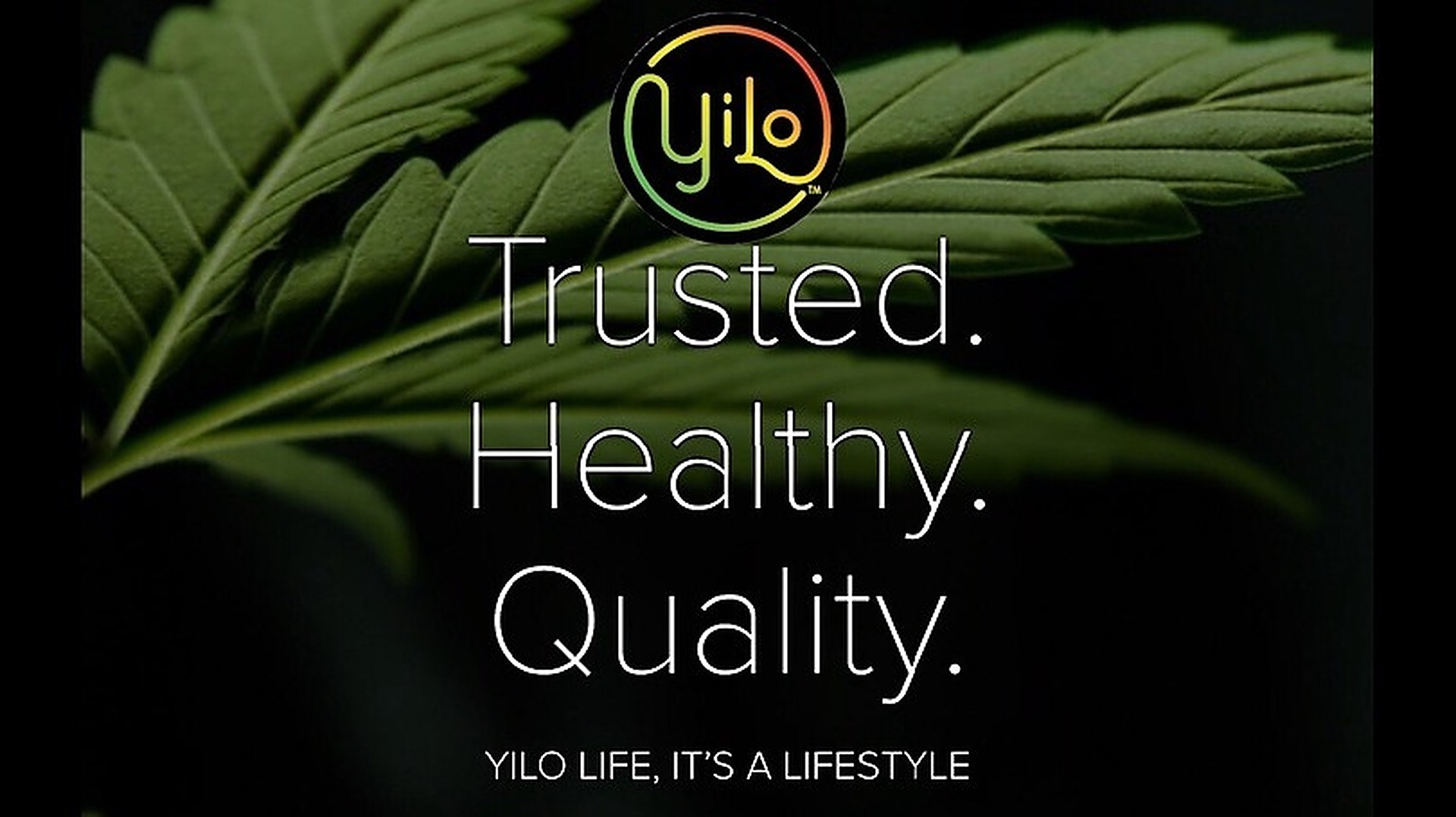 YiLo Superstore Thunderbird (Med/Rec) Customer Reviews from Leafly